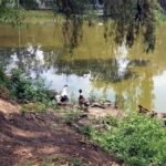 EL FALLECIMIENTO DE PATOS EN EL ESPEJO DE LOS LÍRIOS ALERTA A CUAUTITLÁN IZCALLI 6