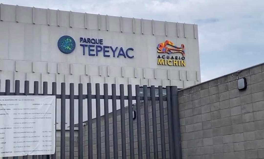 EL ACUARIO MÁS GRANDE DE LATINOAMÉRICA LLEGA A LA CDMX - Enfasis ...