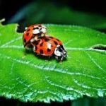 images (8)