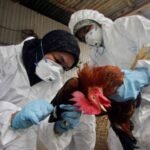 gripe-aviar-muerte-mexico_7682600_20240605173041