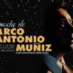 Marco-Muniz-Mobile