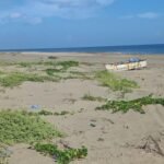 PLAYA CARACOL