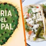 nopal