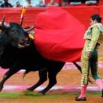 suspension-provsional-toros-cdmx-31012024