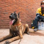 PERROS RESCATISTAS