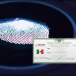 curp_biomxtrica_esta_serx_la_multa_en_caso_de_incumplimiento_crop1752014995479