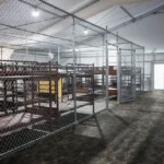 reportan-casi-40-mexicanos-detenidos-en-alligator-alcatraz-1024x640