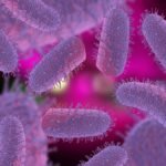 Rabies Virus 3D Illustration