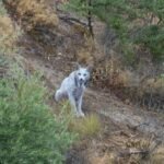 WhatsApp Image 2025-10-29 at 12.11