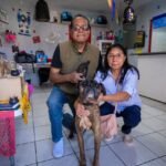 WhatsApp Image 2025-10-30 at 2.11