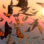 QIT5EU2QJI36HGBWSFWQ54EUEY