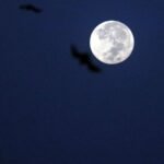 WhatsApp Image 2025-11-06 at 10.51