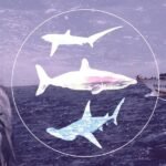 WhatsApp Image 2025-11-06 at 11.16