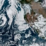 WhatsApp Image 2025-11-10 at 11.08