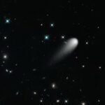 WhatsApp Image 2025-11-11 at 10.36