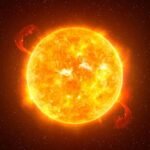 WhatsApp Image 2025-11-12 at 12.05