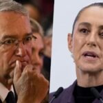 WhatsApp Image 2025-11-14 at 10.43