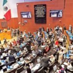 WhatsApp Image 2025-11-20 at 11.00