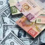 han-bajado-5-2-las-remesas-desde-estados-refugio-para-migrantes-1024x683