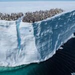 WhatsApp Image 2025-12-01 at 10.46