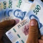 WhatsApp Image 2025-12-03 at 11.37