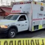 WhatsApp Image 2025-12-11 at 10.41