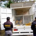 WhatsApp Image 2025-12-12 at 3.05