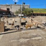 WhatsApp Image 2025-12-18 at 10.33