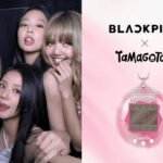 WhatsApp Image 2025-12-19 at 12.39