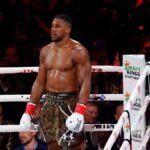 WhatsApp Image 2025-12-29 at 10.59