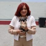 10004804437329934096560720707