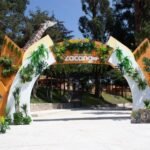 1118bbf6-94cc-41c1-a7e9-d35a20da771d