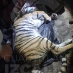 904a19df-e957-41f8-9b48-979361ecfada