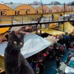 WhatsApp Image 2026-01-02 at 11.16