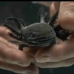 WhatsApp Image 2026-01-05 at 10.03