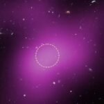 WhatsApp Image 2026-01-07 at 10.15