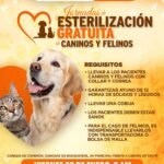 WhatsApp Image 2026-01-22 at 12.43