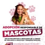 ca68575d-8159-443d-9373-6c291fe00513