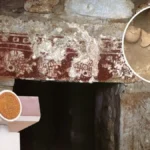 sheinbaum-se-encontro-tumba-10-de-huitzo-el-descubrimiento-arqueologico-mas-relevante-de-la-ultima-decada-d14d5bf5-focus-0-0-1479-828