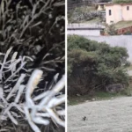 zona-temperaturas-descendieron-cero-grados