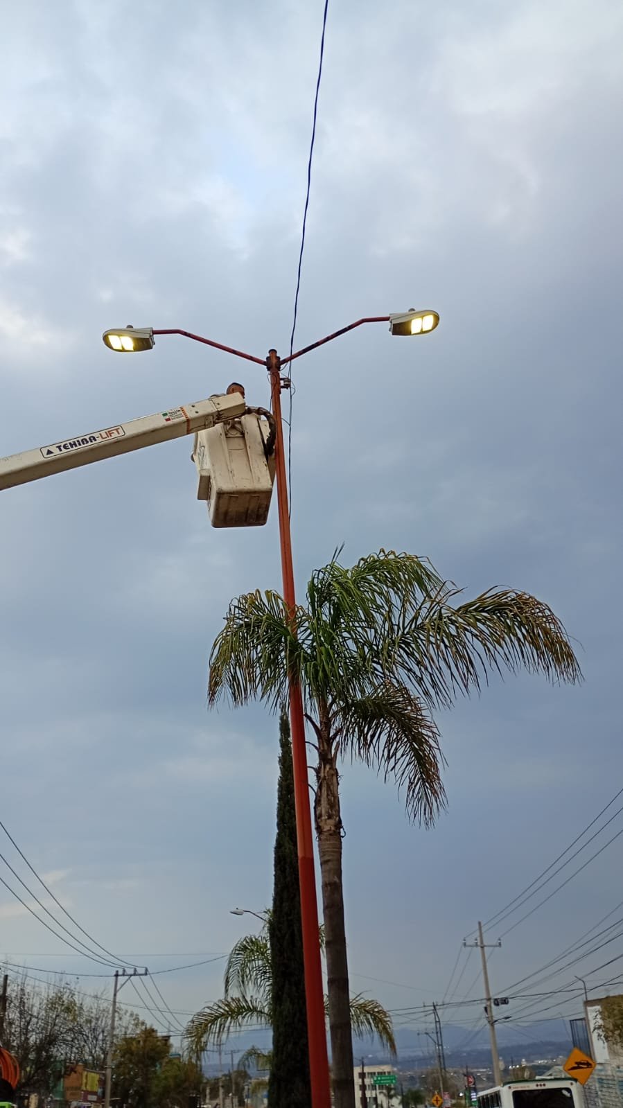 WhatsApp Image 2026-02-12 at 4.54