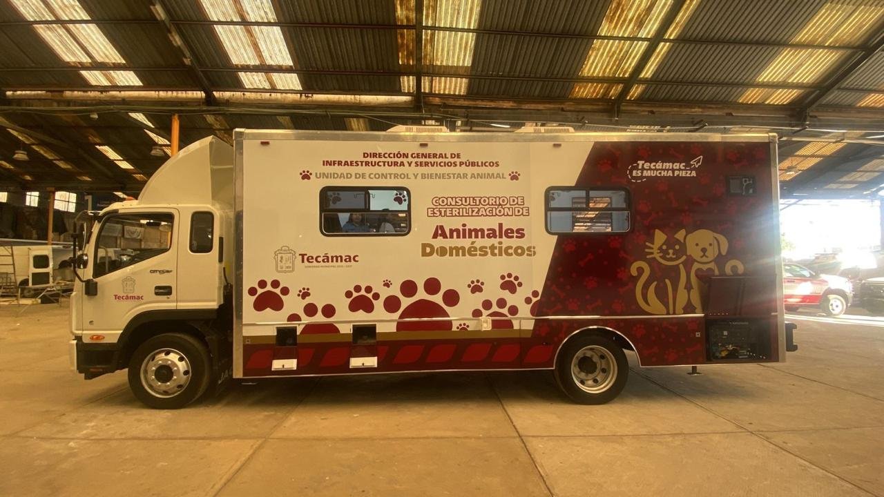 WhatsApp Image 2026-02-19 at 2.40