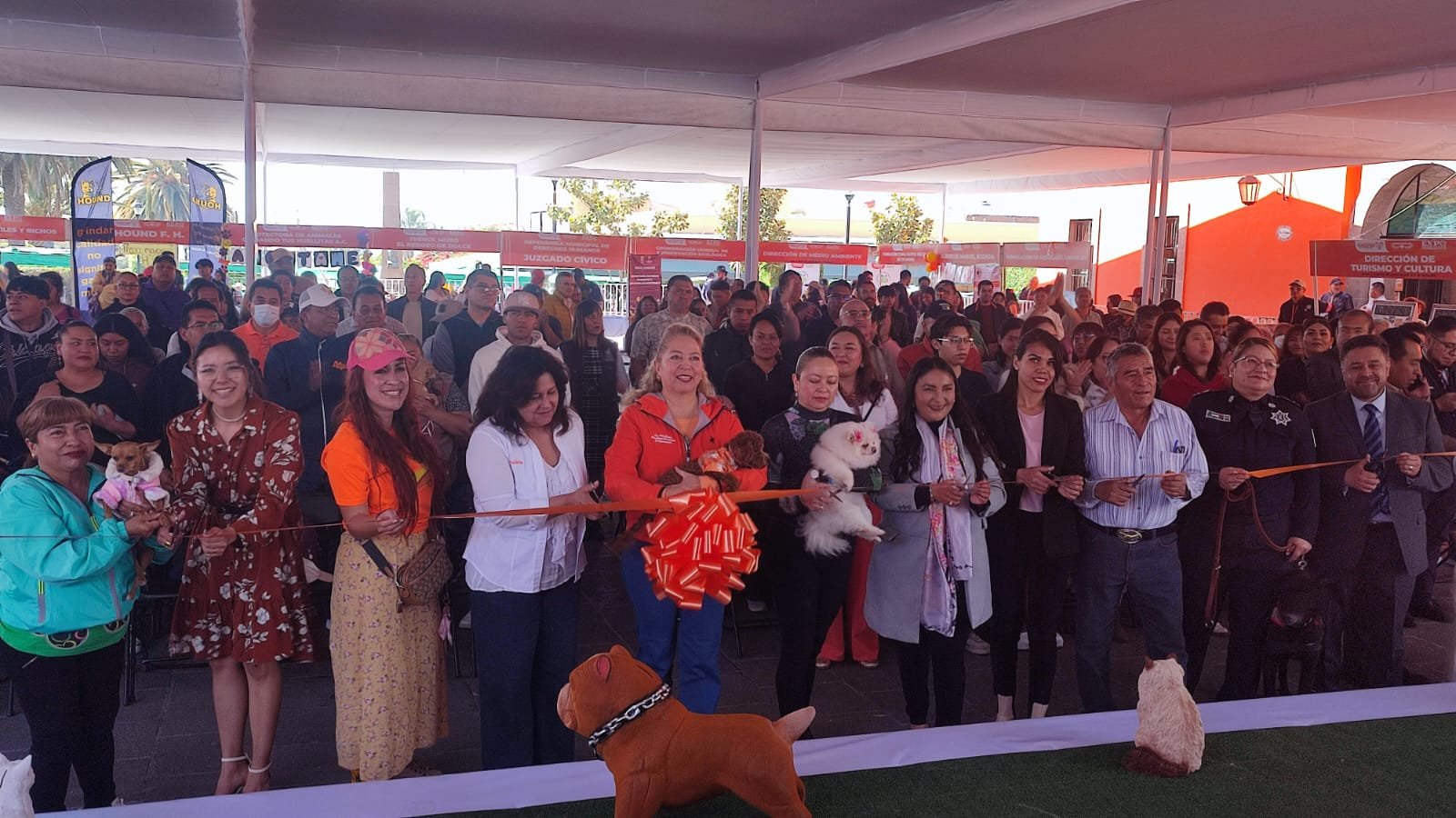 WhatsApp Image 2026-02-21 at 12.50