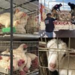 16KYUpOTbrHF27kfPmGmnKQ2n1jrGEZVpeUDQzvj