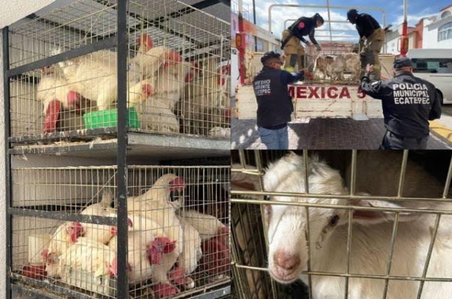 16KYUpOTbrHF27kfPmGmnKQ2n1jrGEZVpeUDQzvj