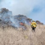 WhatsApp Image 2026-03-02 at 4.05