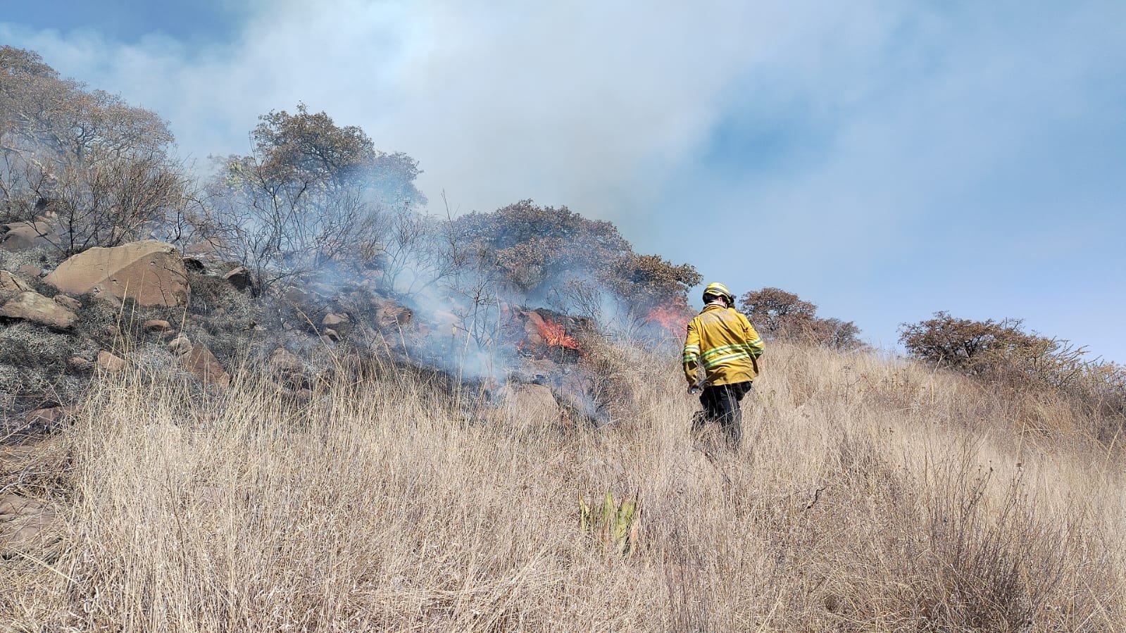 WhatsApp Image 2026-03-02 at 4.05