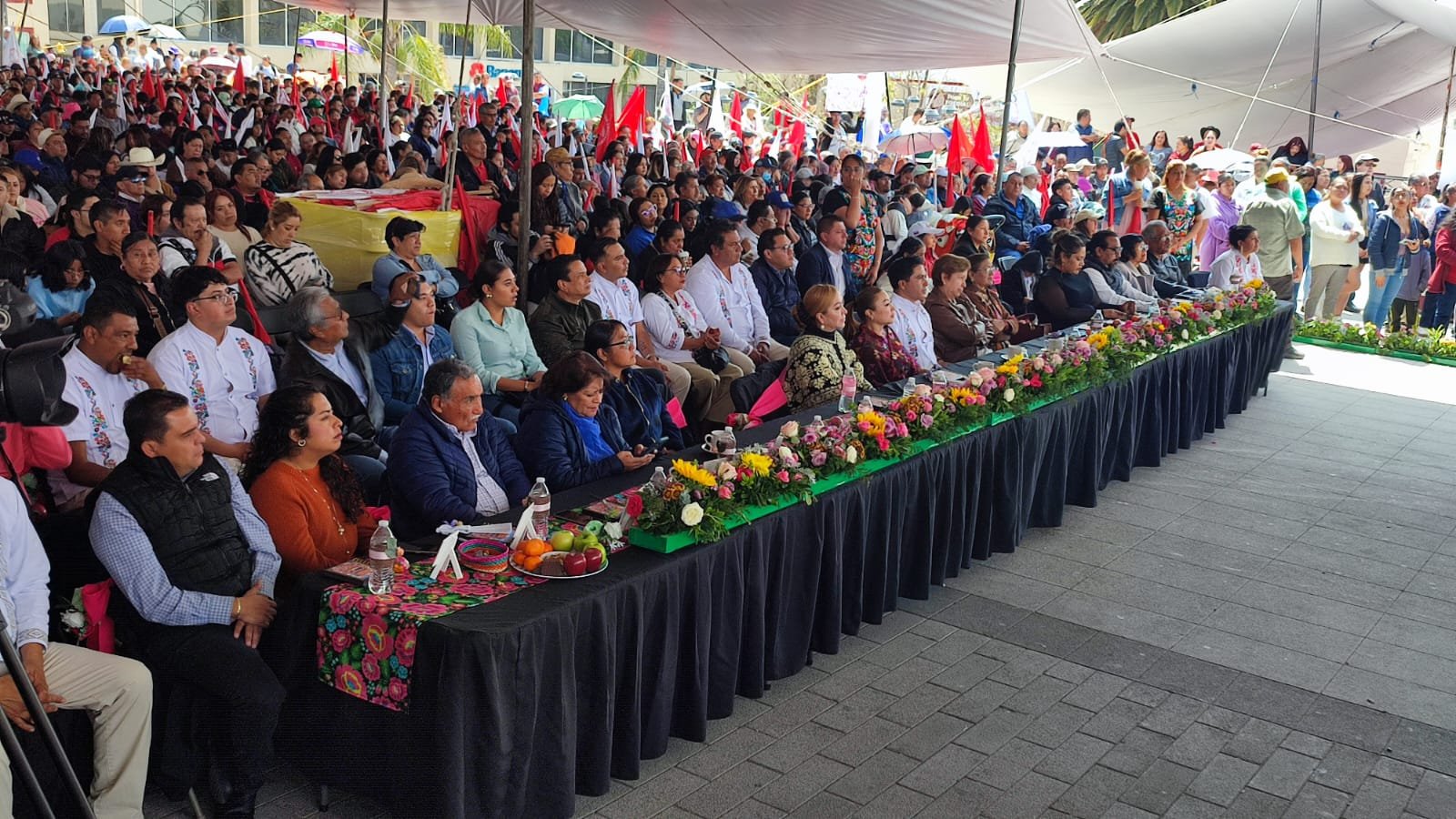 WhatsApp Image 2026-03-29 at 2.10