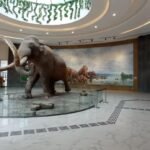 WhatsApp Image 2026-03-30 at 2.13