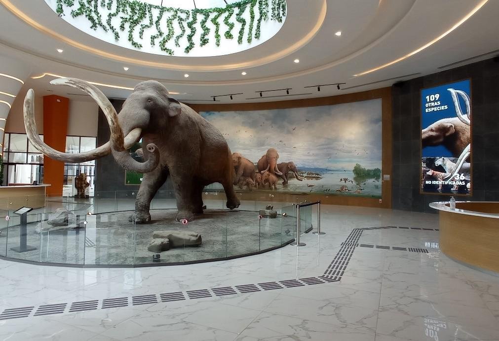 WhatsApp Image 2026-03-30 at 2.13